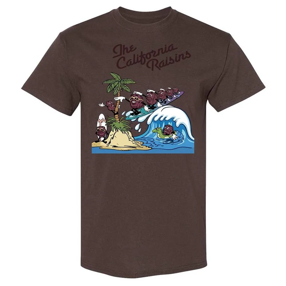 California Raisins - Dark Chocolate - 20