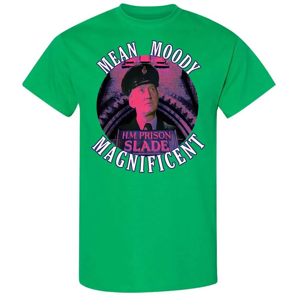 Classic Unisex T-Shirt - 99U1DUN8 - Irish Green - 10