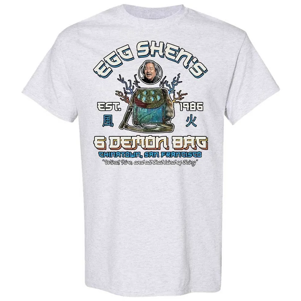 Classic Unisex T-Shirt - CVFSS79M - Ash - 15