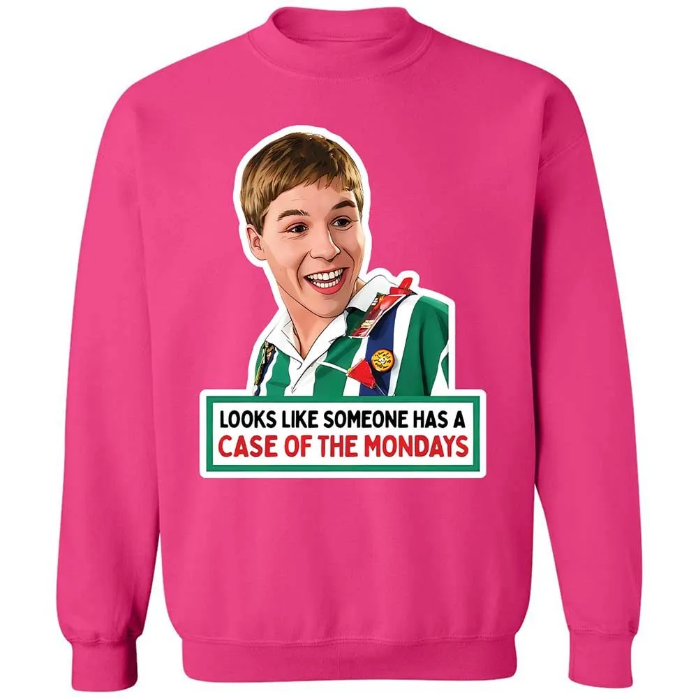 Classic Unisex Sweatshirt - U2BS224L - Heliconia - 15