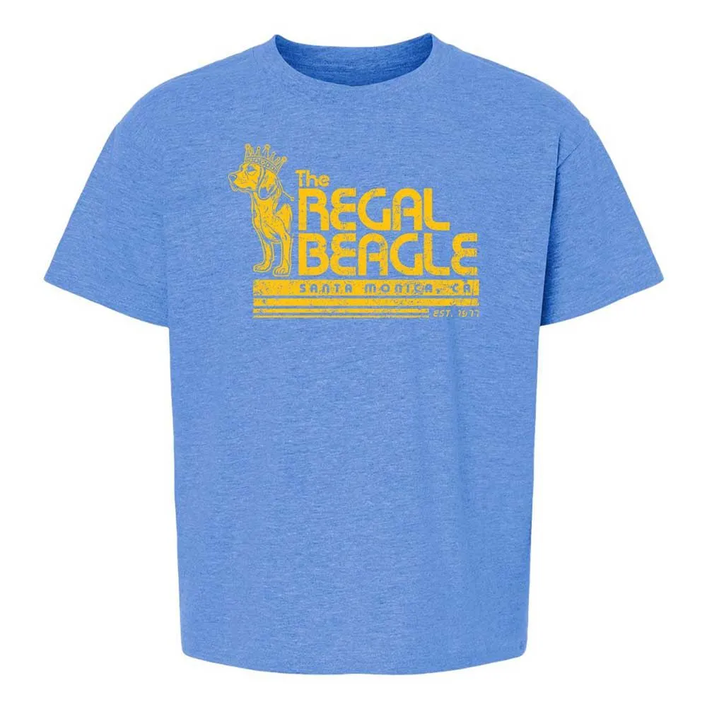 Kids T-Shirt - DBV3LWZV - Heather Royal - 13