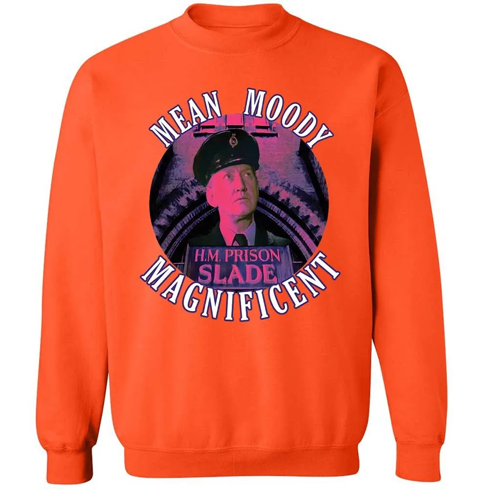 Classic Unisex Sweatshirt - X22YJK5U - Orange - 12