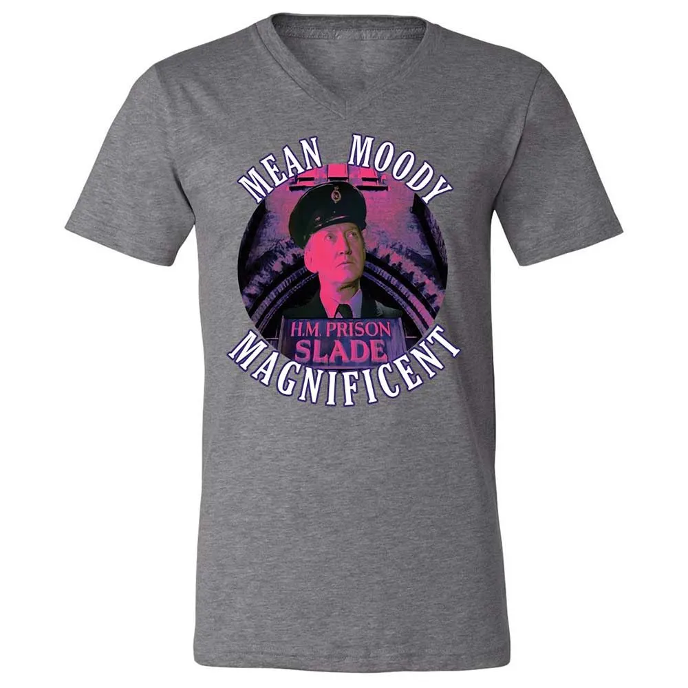 Unisex V-Neck T-Shirt - NR27ARMS - Deep Heather - 9