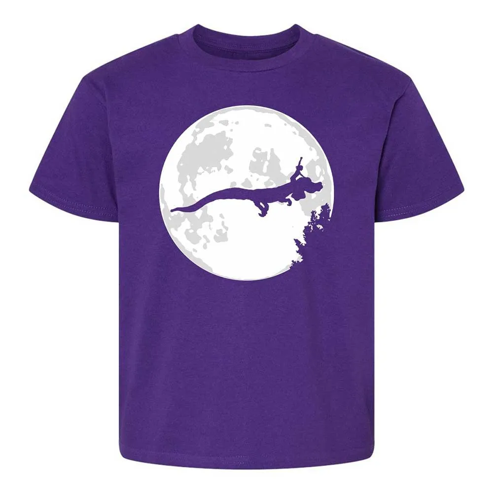 Falkor Moon - Purple - 17