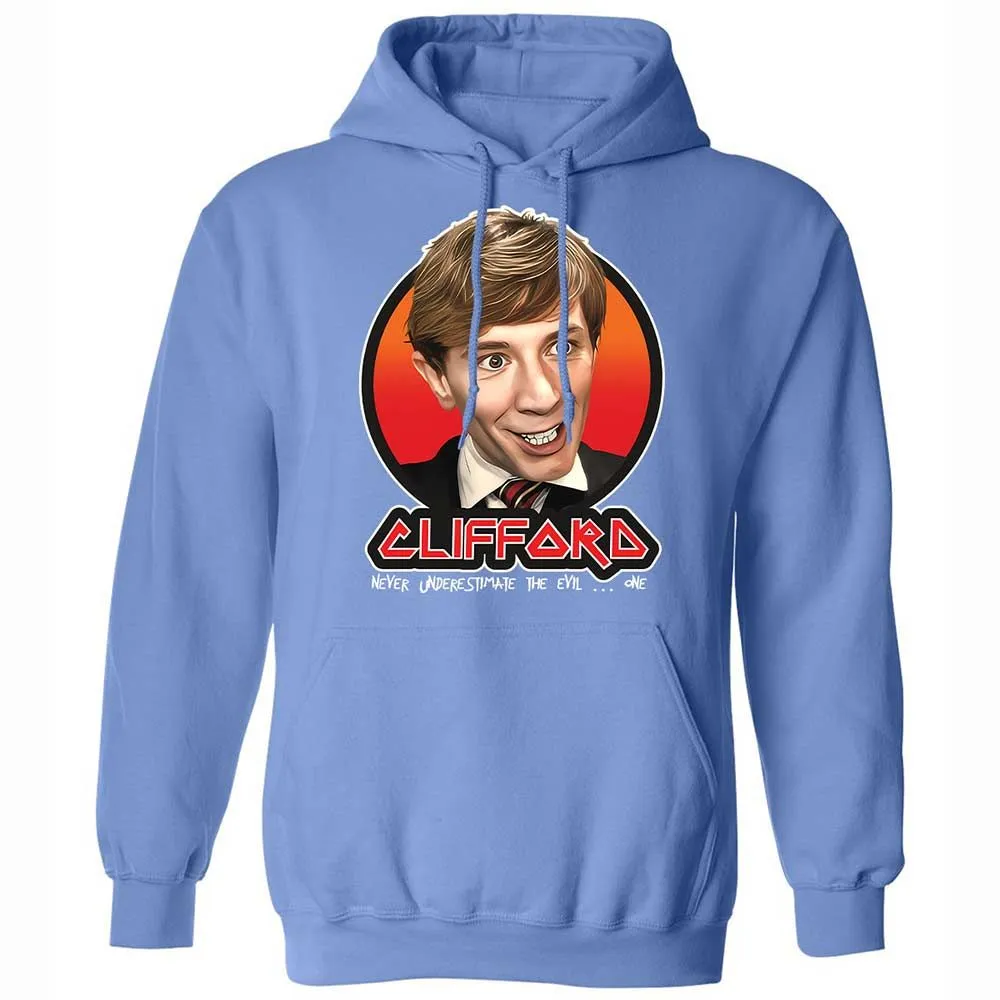 Classic Unisex Hoodie - VS8KQZ7P - Carolina Blue - 16