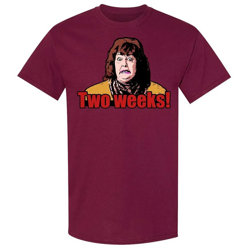 Classic Unisex T-Shirt - Y53TDV8W - Maroon - 21
