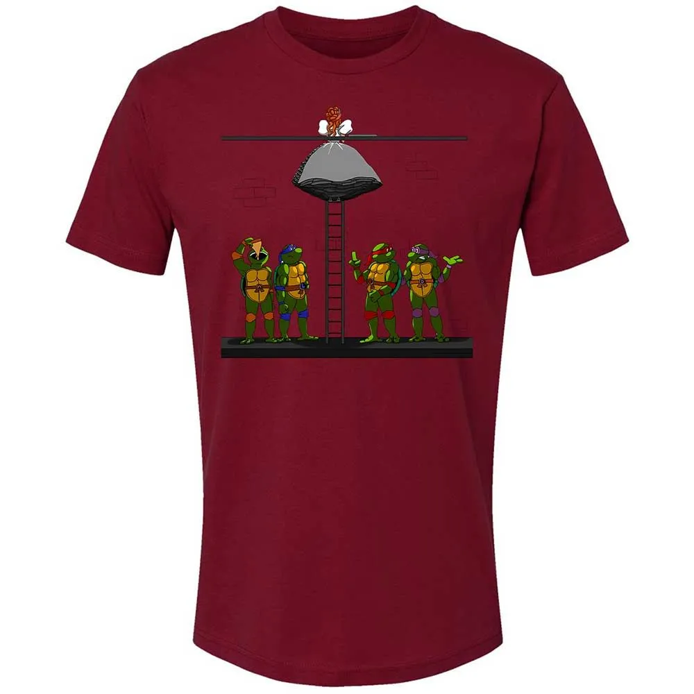I've Been Dreaming of a Turtle's Kiss - Cardinal - 20