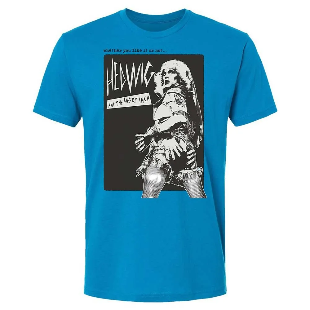 Hedwig and the Angry Inch - Turquoise - 6