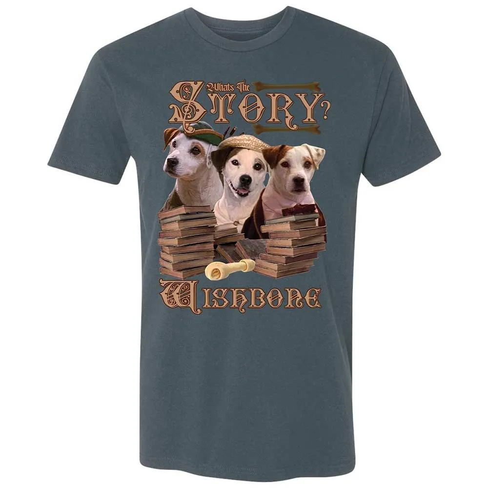 What's the story - Indigo - 21