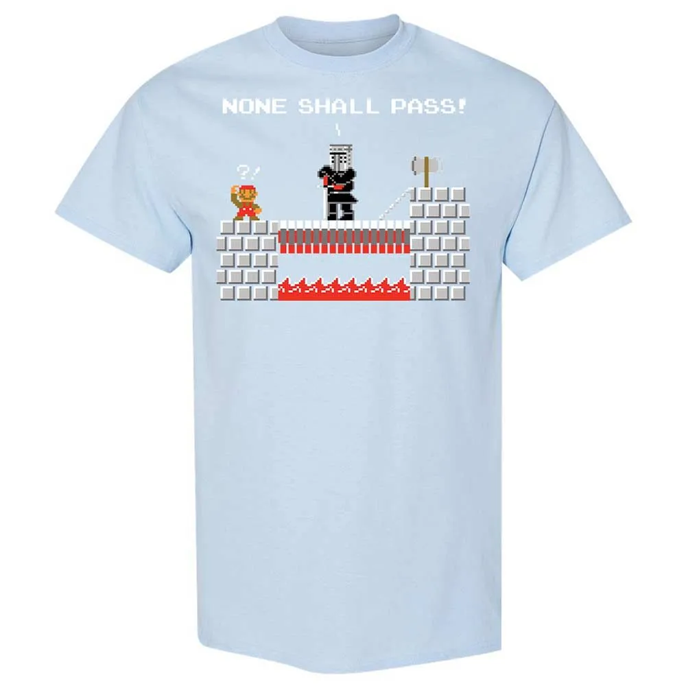 No Plumbers Shall Pass - Light Blue - 20