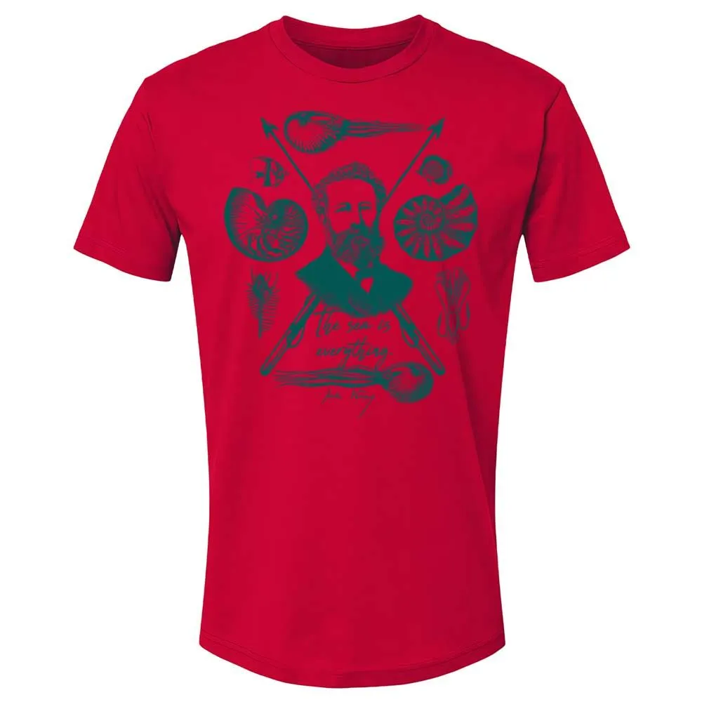 The sea is everything - Red - 7