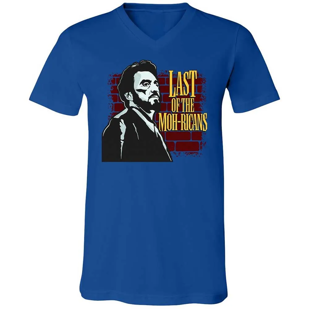 Unisex V-Neck T-Shirt - ALT917J5 - True Royal - 4