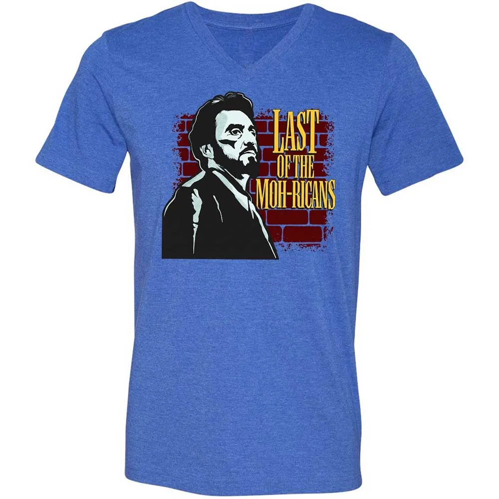 Unisex V-Neck T-Shirt - ALT917J5 - Heather True Royal - 5