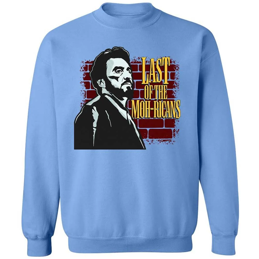Classic Unisex Sweatshirt - L7N5VYL9 - Carolina Blue - 20