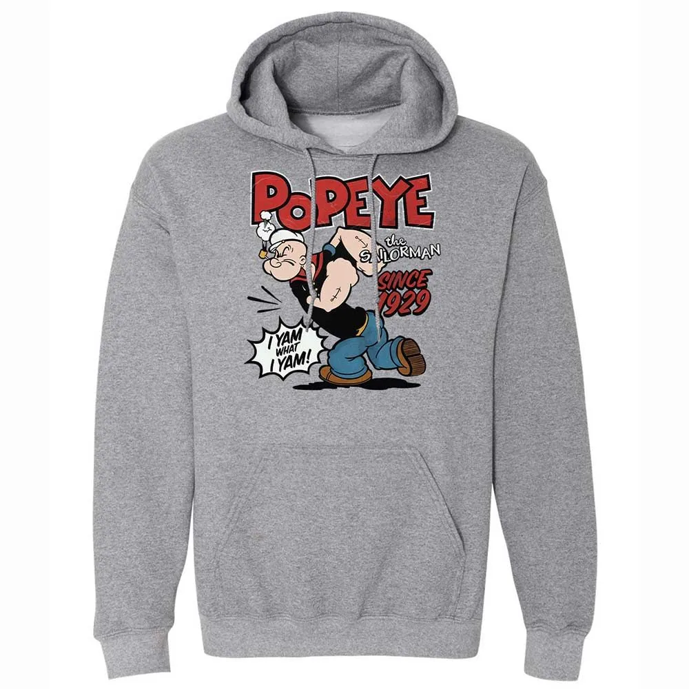Classic Unisex Hoodie - ESA9ZN98 - Graphite Heather - 17