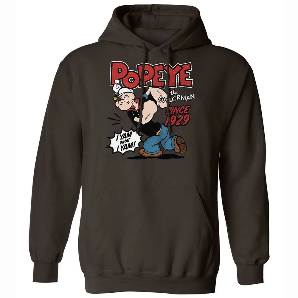 Classic Unisex Hoodie - ESA9ZN98 - Dark Chocolate - 18