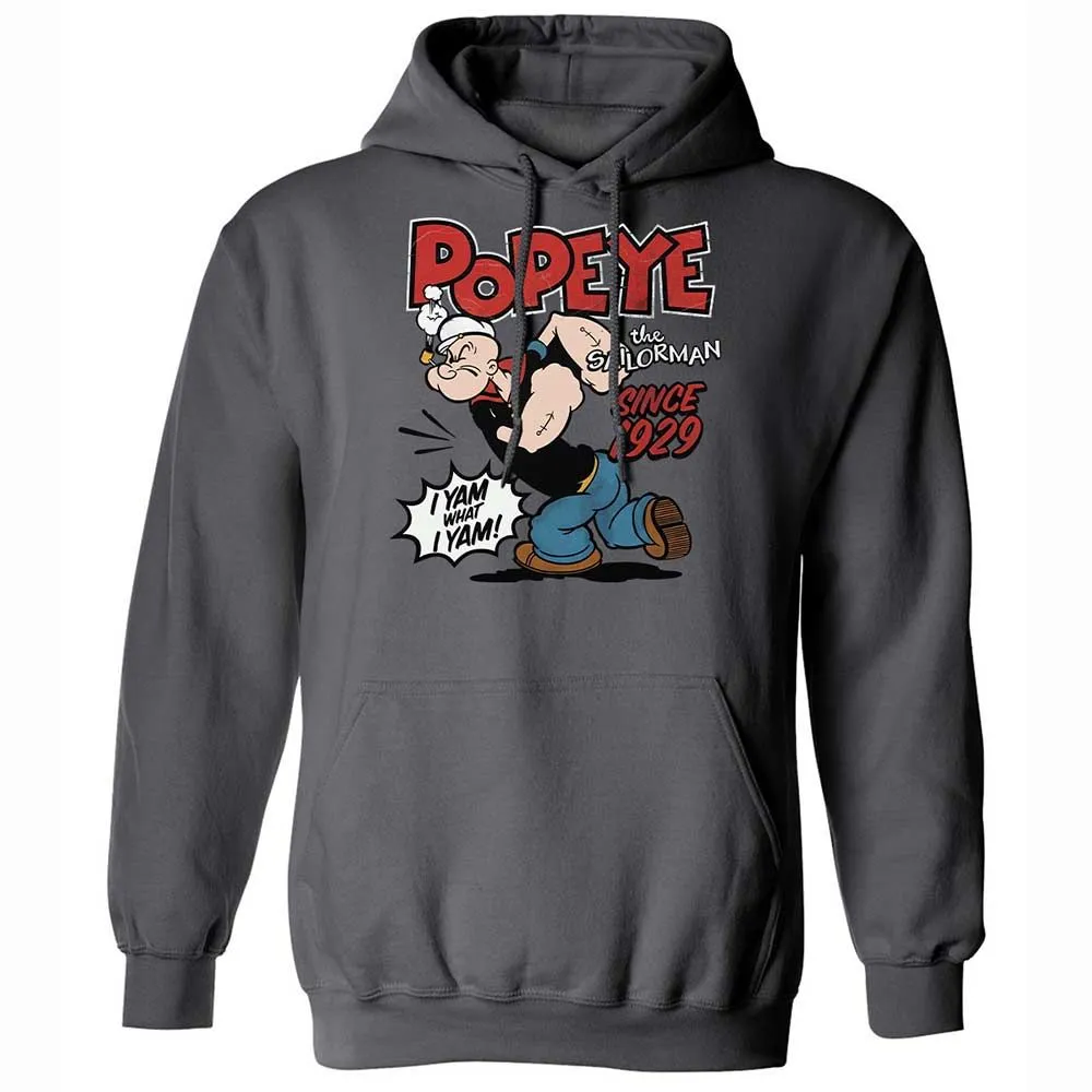 Classic Unisex Hoodie - ESA9ZN98 - Charcoal - 20