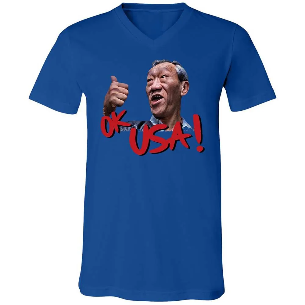 Unisex V-Neck T-Shirt - 9HQ15ZQ8 - True Royal - 4