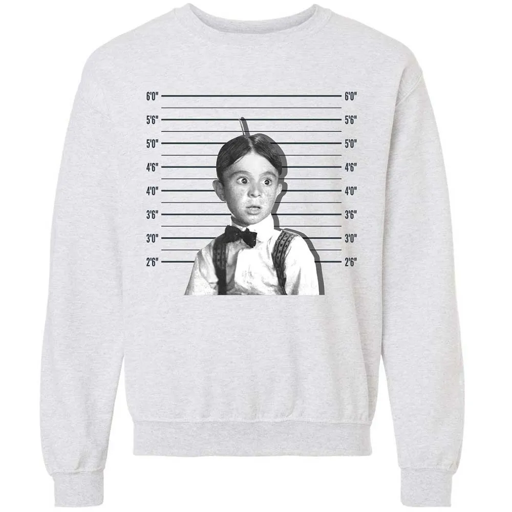 Classic Unisex Sweatshirt - LWSWMXE6 - Ash - 2
