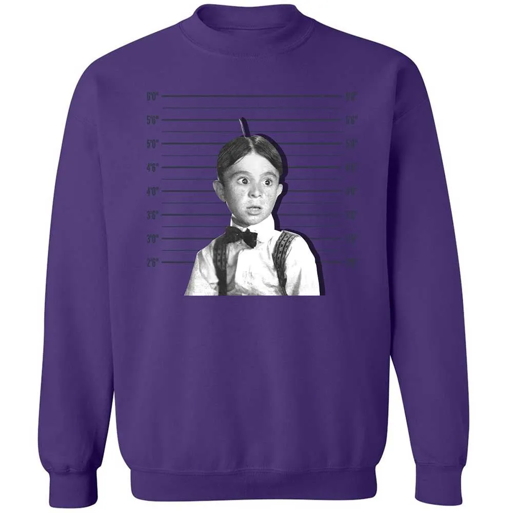 Classic Unisex Sweatshirt - LWSWMXE6 - Purple - 10