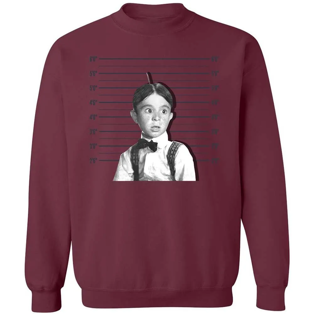 Classic Unisex Sweatshirt - LWSWMXE6 - Maroon - 20