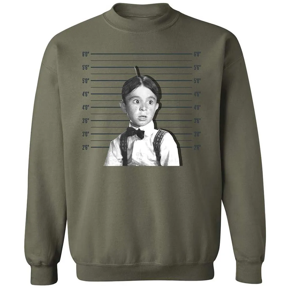 Classic Unisex Sweatshirt - LWSWMXE6 - Military Green - 21
