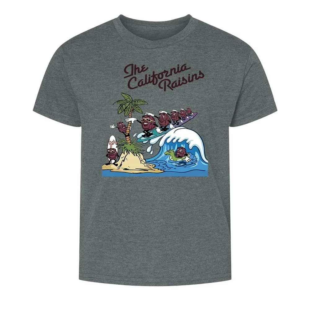California Raisins - Dark Heather - 16
