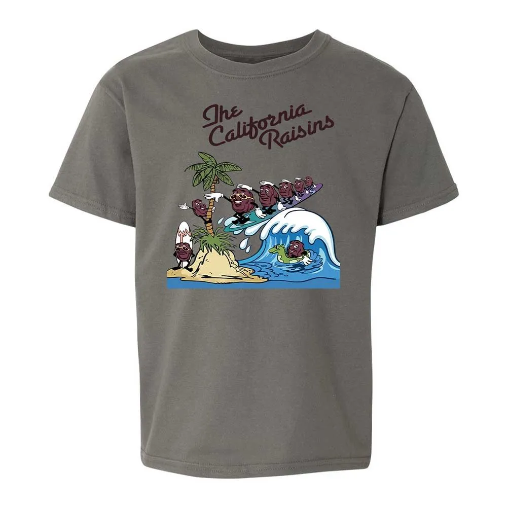 California Raisins - Charcoal - 17