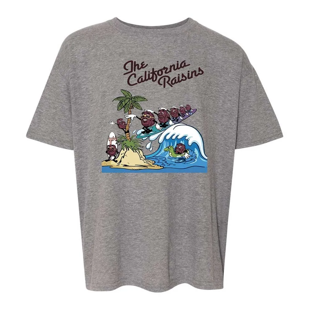 California Raisins - Graphite Heather - 18