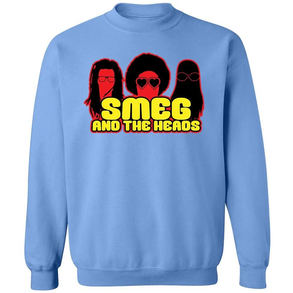 Classic Unisex Sweatshirt - LDWQ2ME9 - Carolina Blue - 5