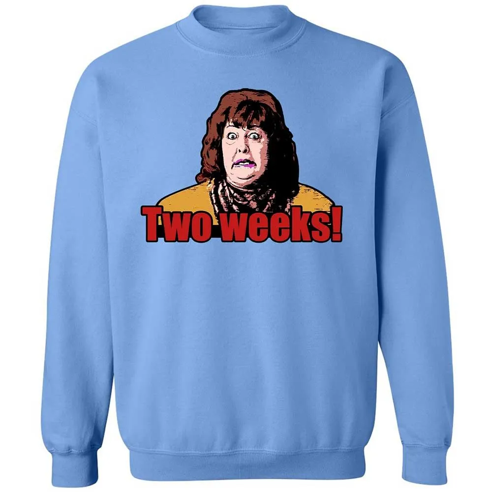 Classic Unisex Sweatshirt - T1FDK5KB - Carolina Blue - 5