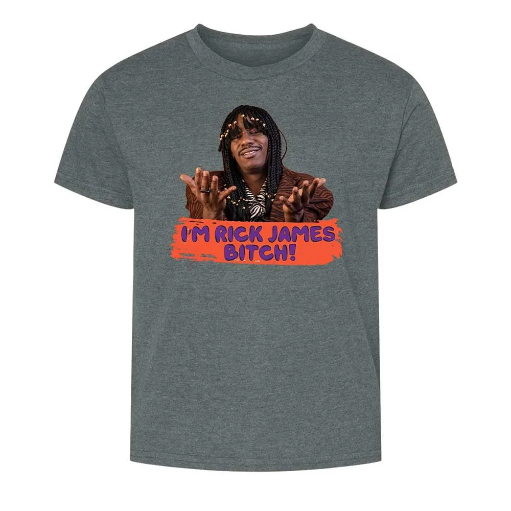 Bitch - Dark Heather - 16