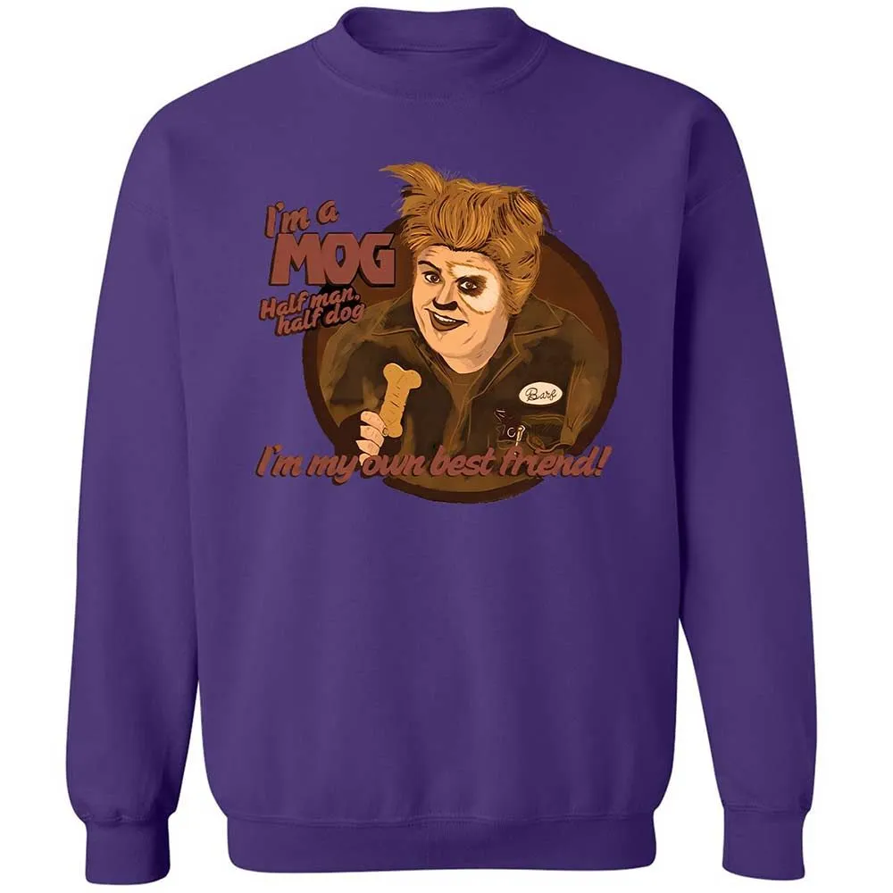 Classic Unisex Sweatshirt - 6AQTUPSU - Purple - 10