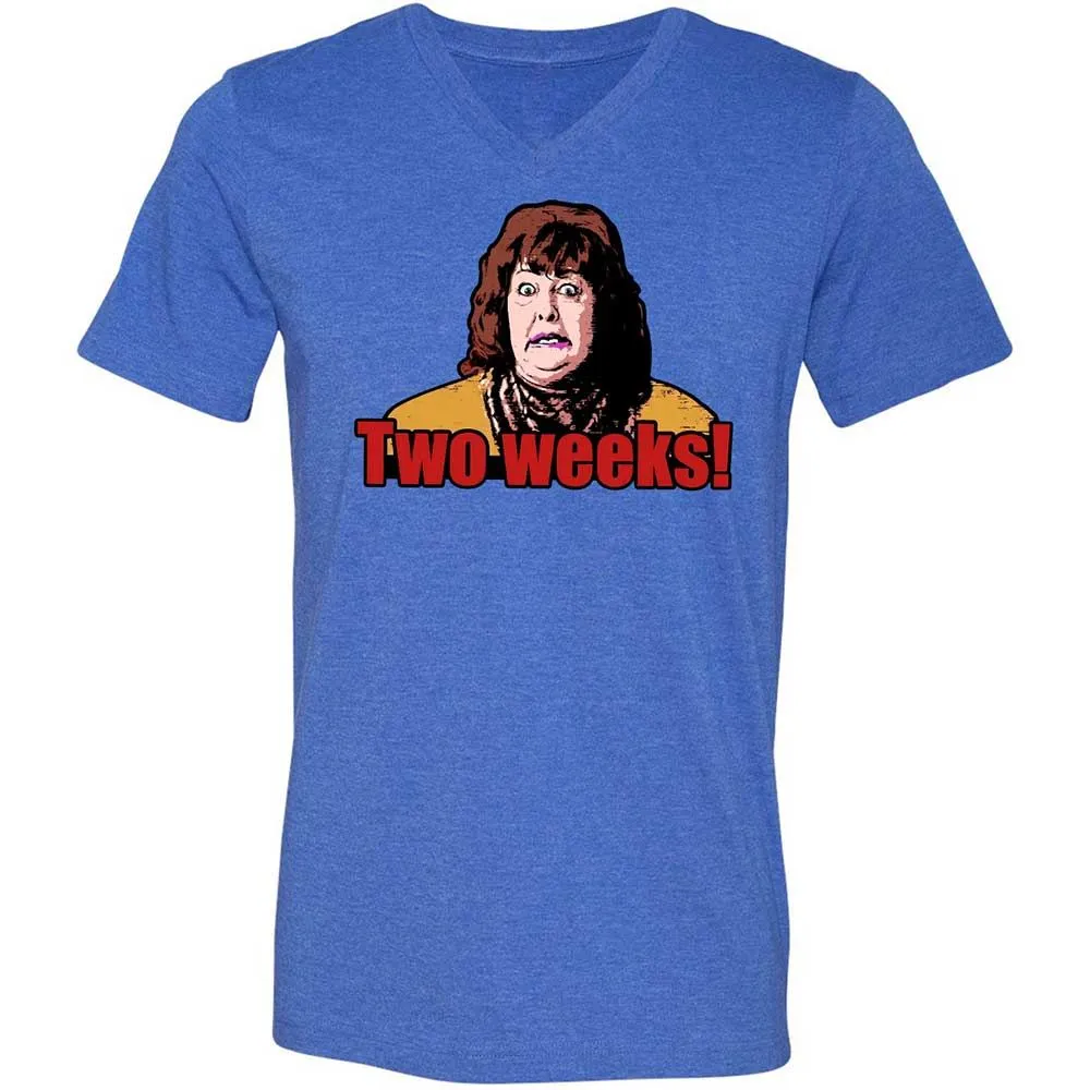 Unisex V-Neck T-Shirt - H9M9T2TE - Heather True Royal - 4