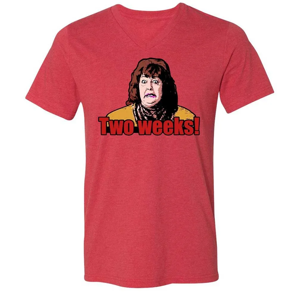 Unisex V-Neck T-Shirt - H9M9T2TE - Heather Red - 6