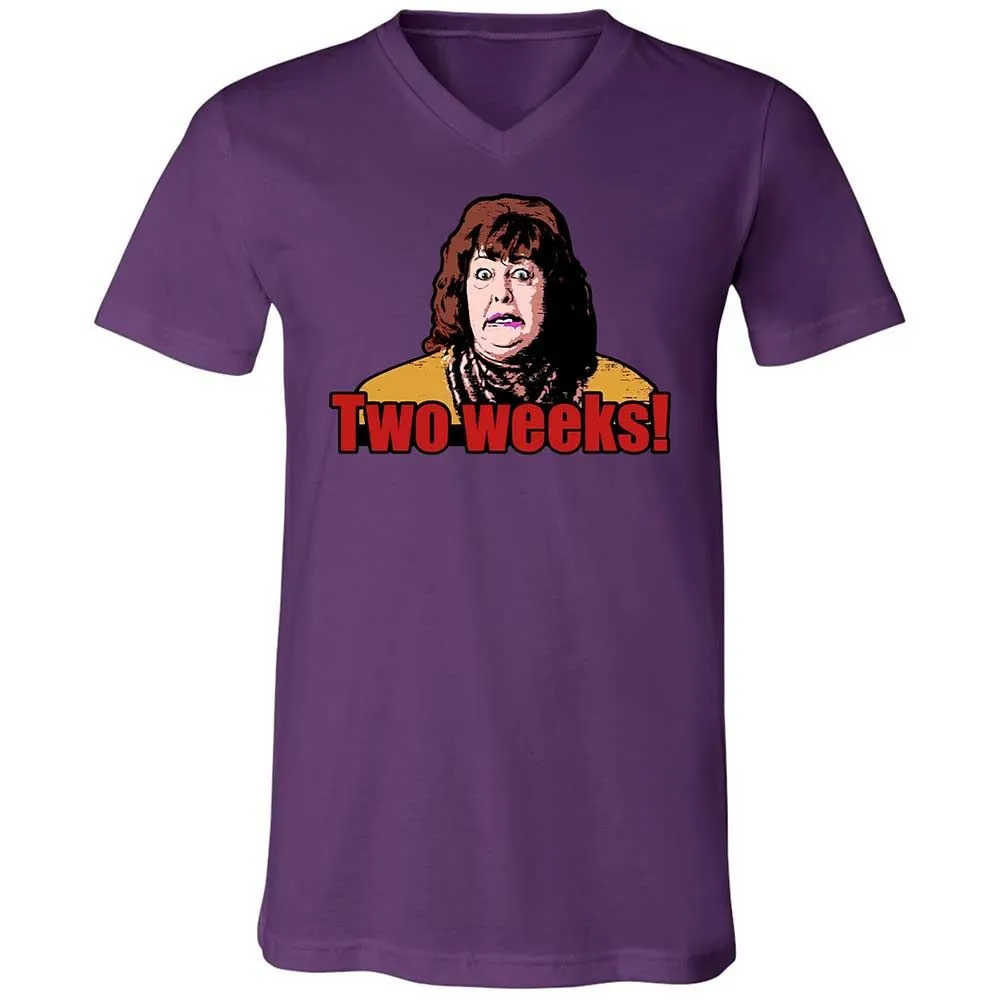 Unisex V-Neck T-Shirt - H9M9T2TE - Team Purple - 10