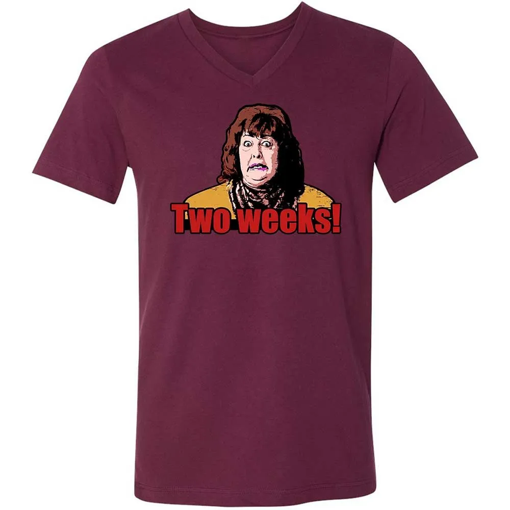 Unisex V-Neck T-Shirt - H9M9T2TE - Maroon - 14