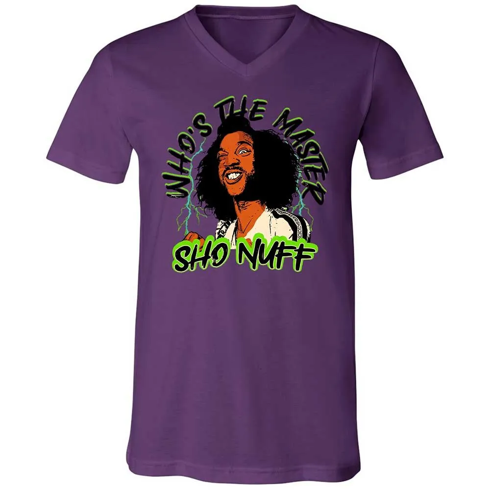 Unisex V-Neck T-Shirt - R6H8CX6T - Team Purple - 10