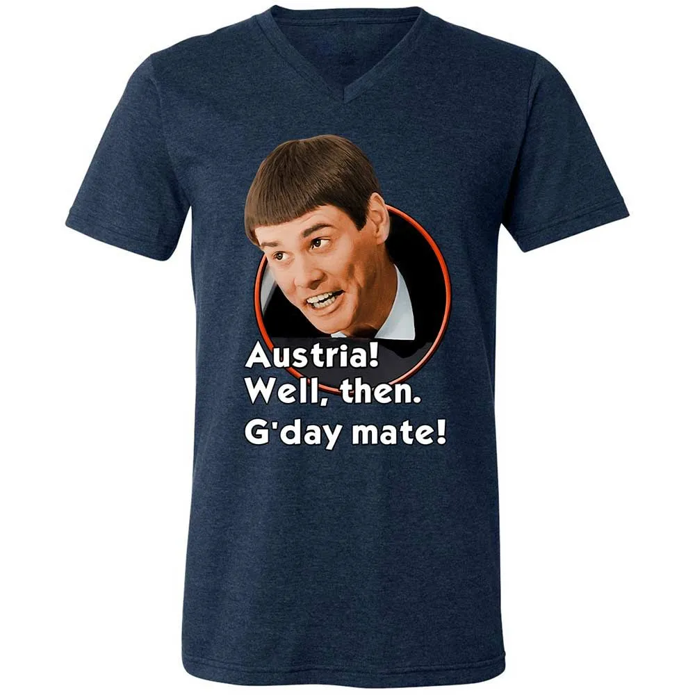 Unisex V-Neck T-Shirt - H6QKQU3V - Heather Navy - 13