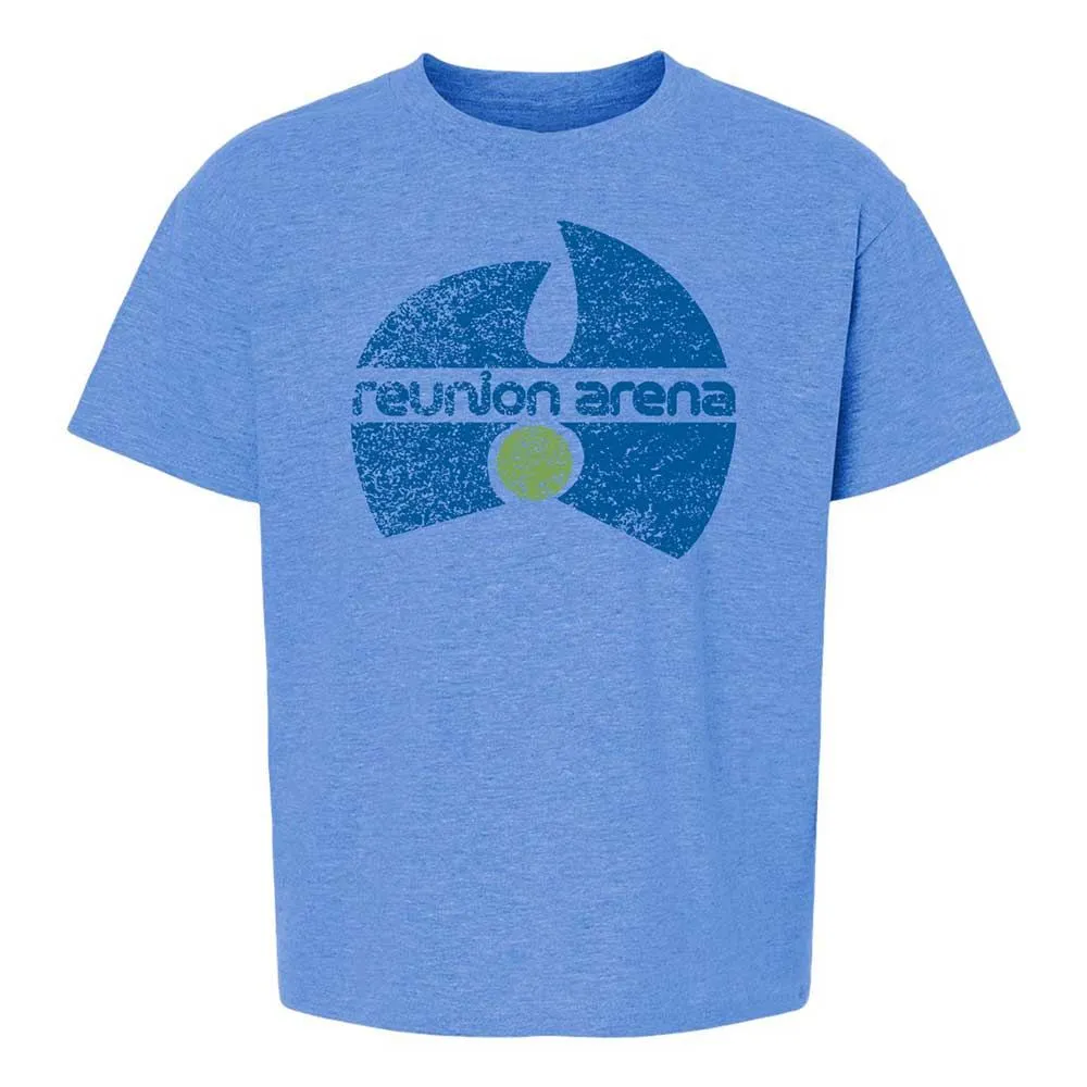 Kids T-Shirt - N32X1K4J - Heather Royal - 14