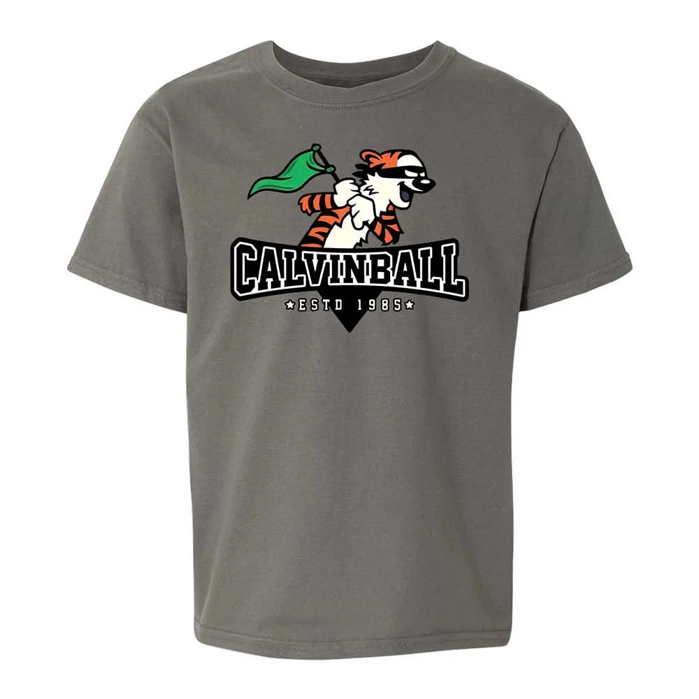 Calvinball - Charcoal - 17