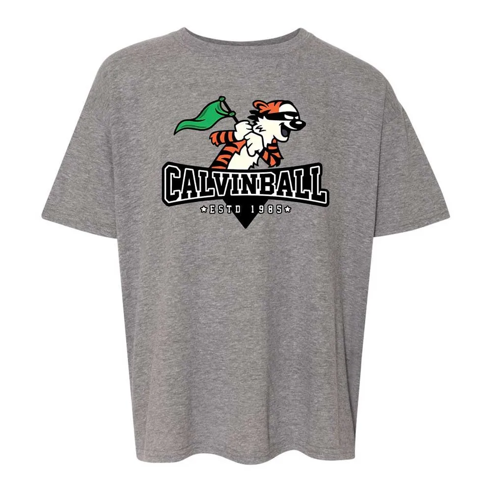 Calvinball - Graphite Heather - 18