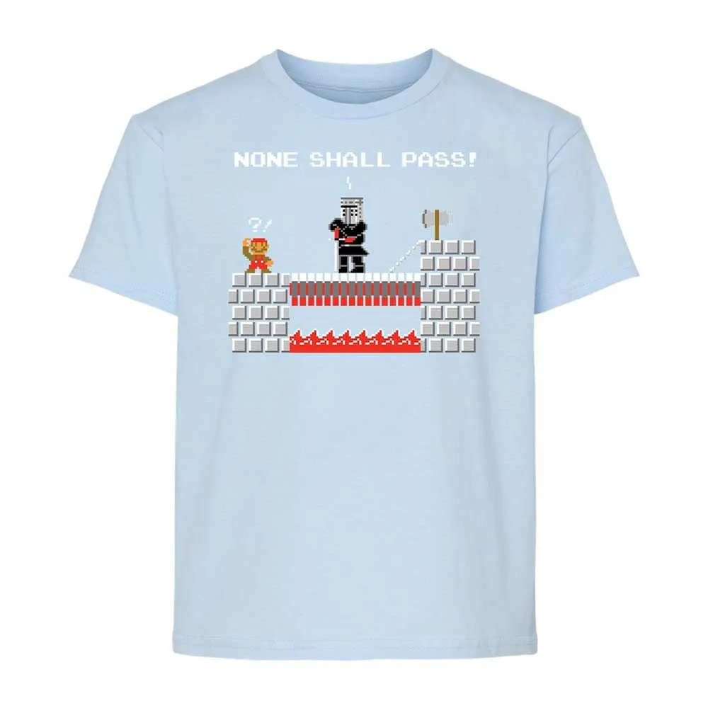 No Plumbers Shall Pass - Light Blue - 6
