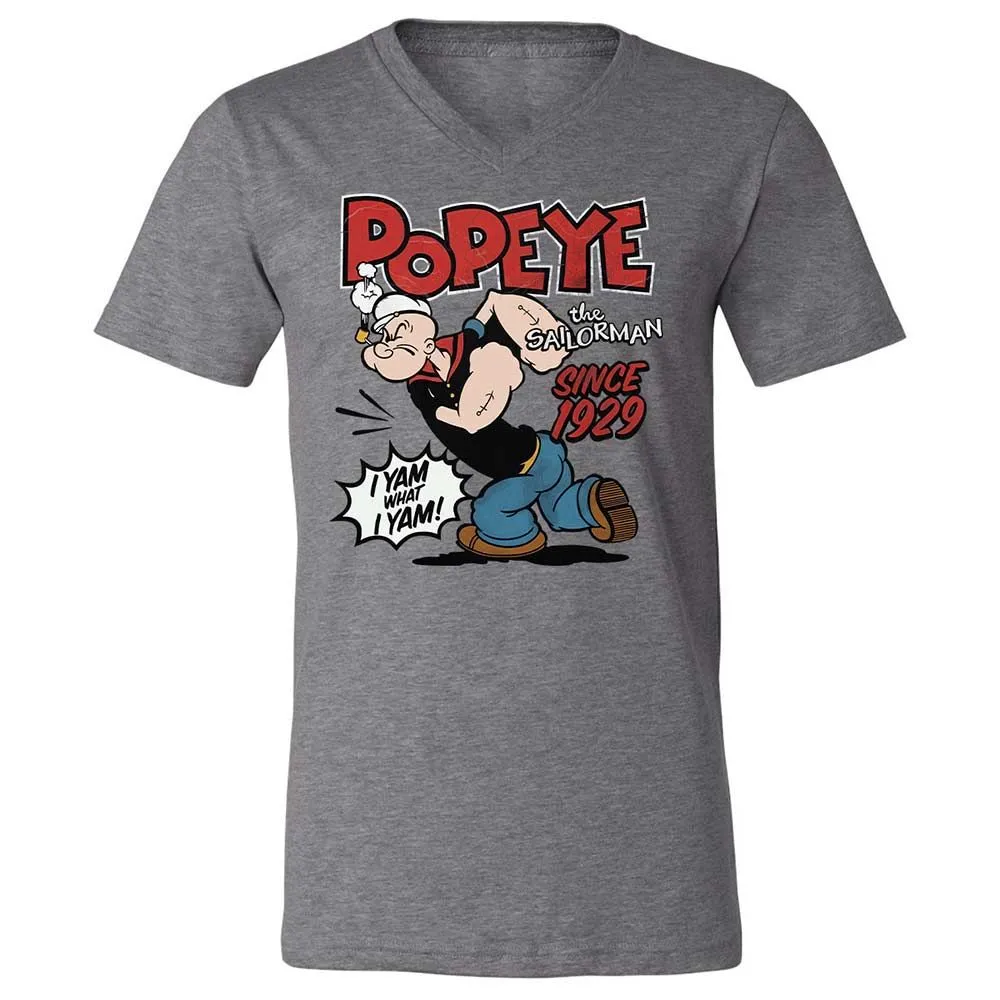 Unisex V-Neck T-Shirt - VTB7XSS7 - Deep Heather - 9