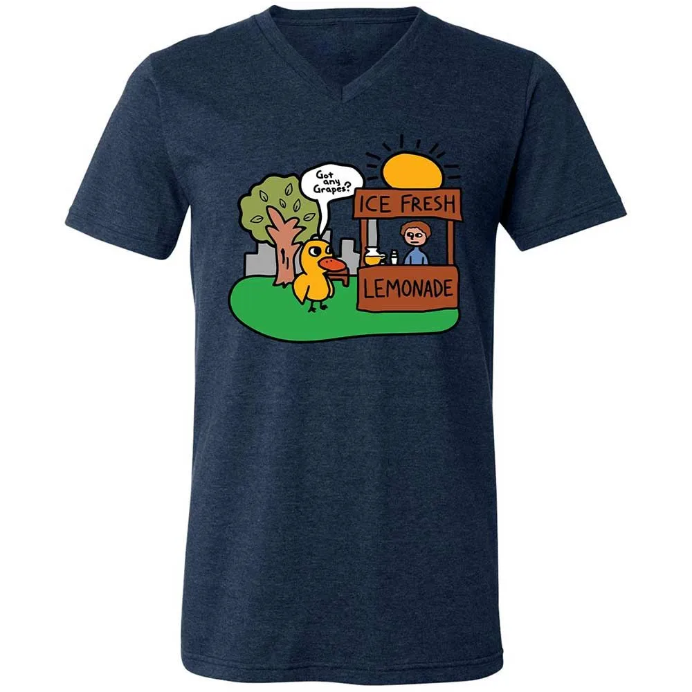 Got any grapes? - Heather Navy - 13