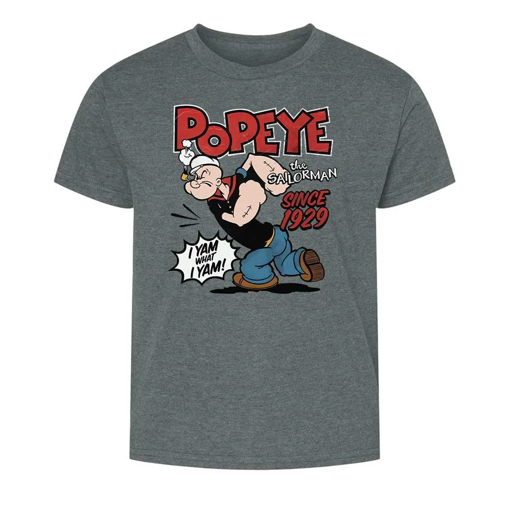 Kids T-Shirt - 8S3YAAX4 - Dark Heather - 16