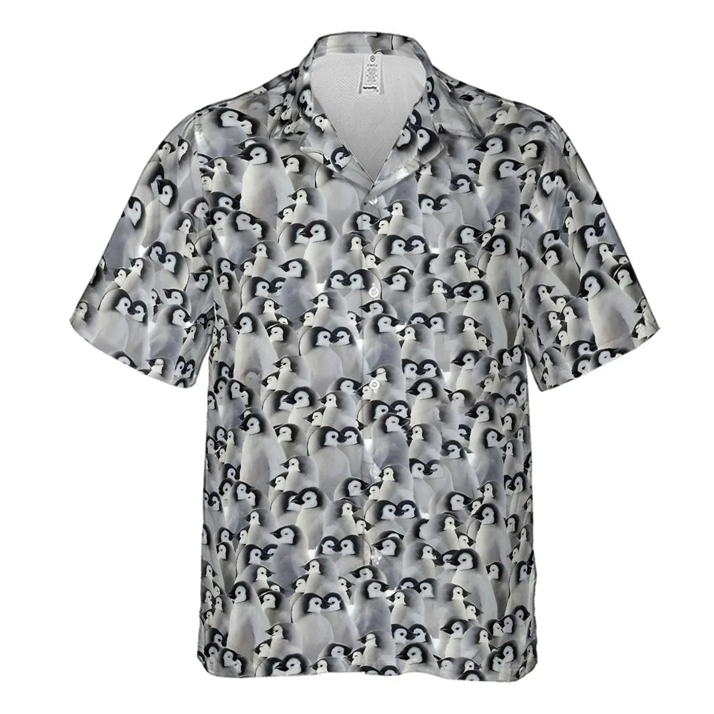 Baby Emperor penguins -  - 2