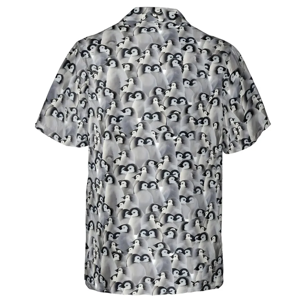 Baby Emperor penguins -  - 3