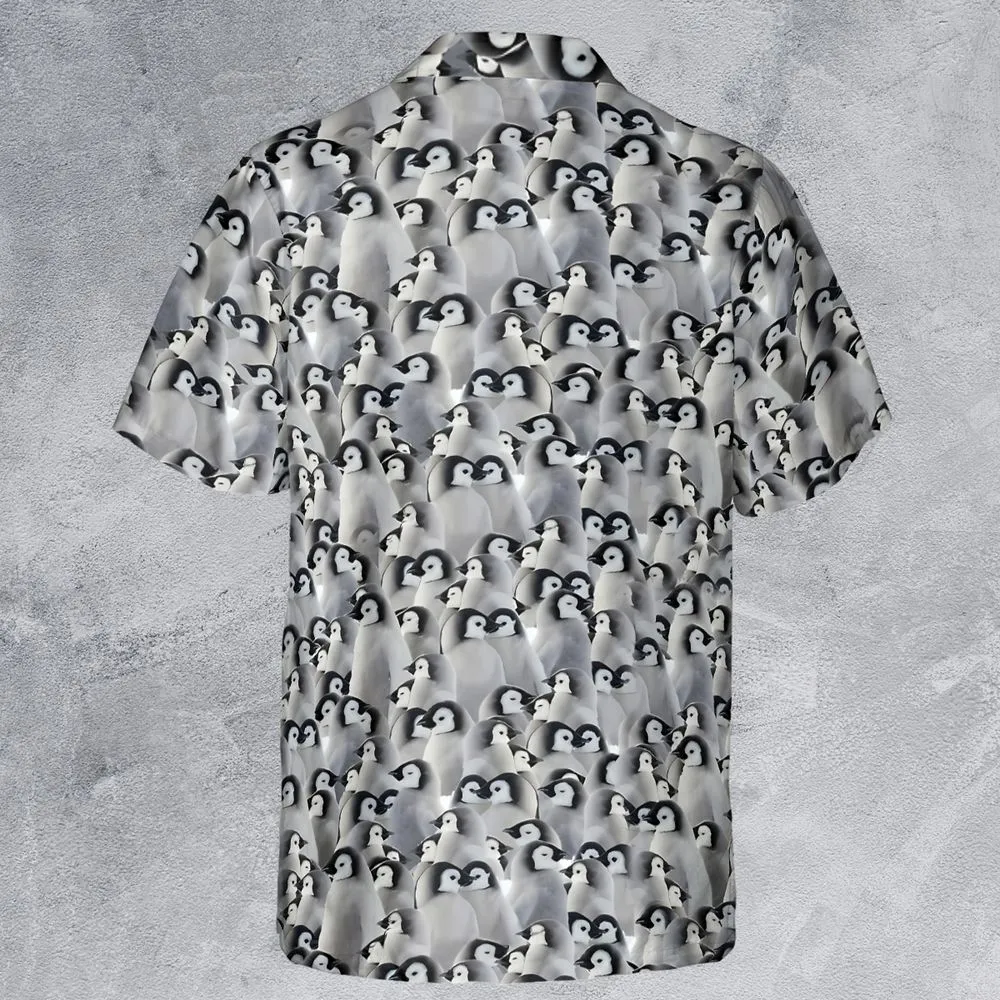 Baby Emperor penguins -  - 3