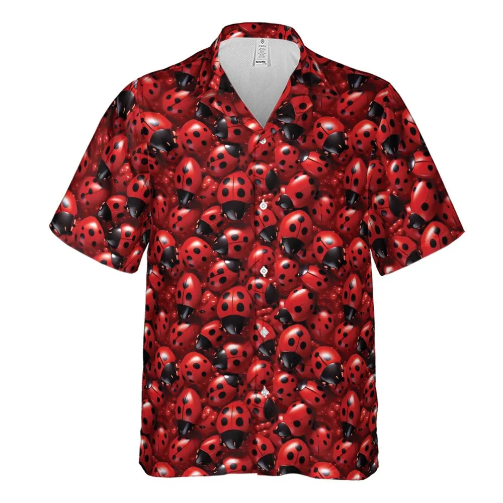 Ladybug -  - 2